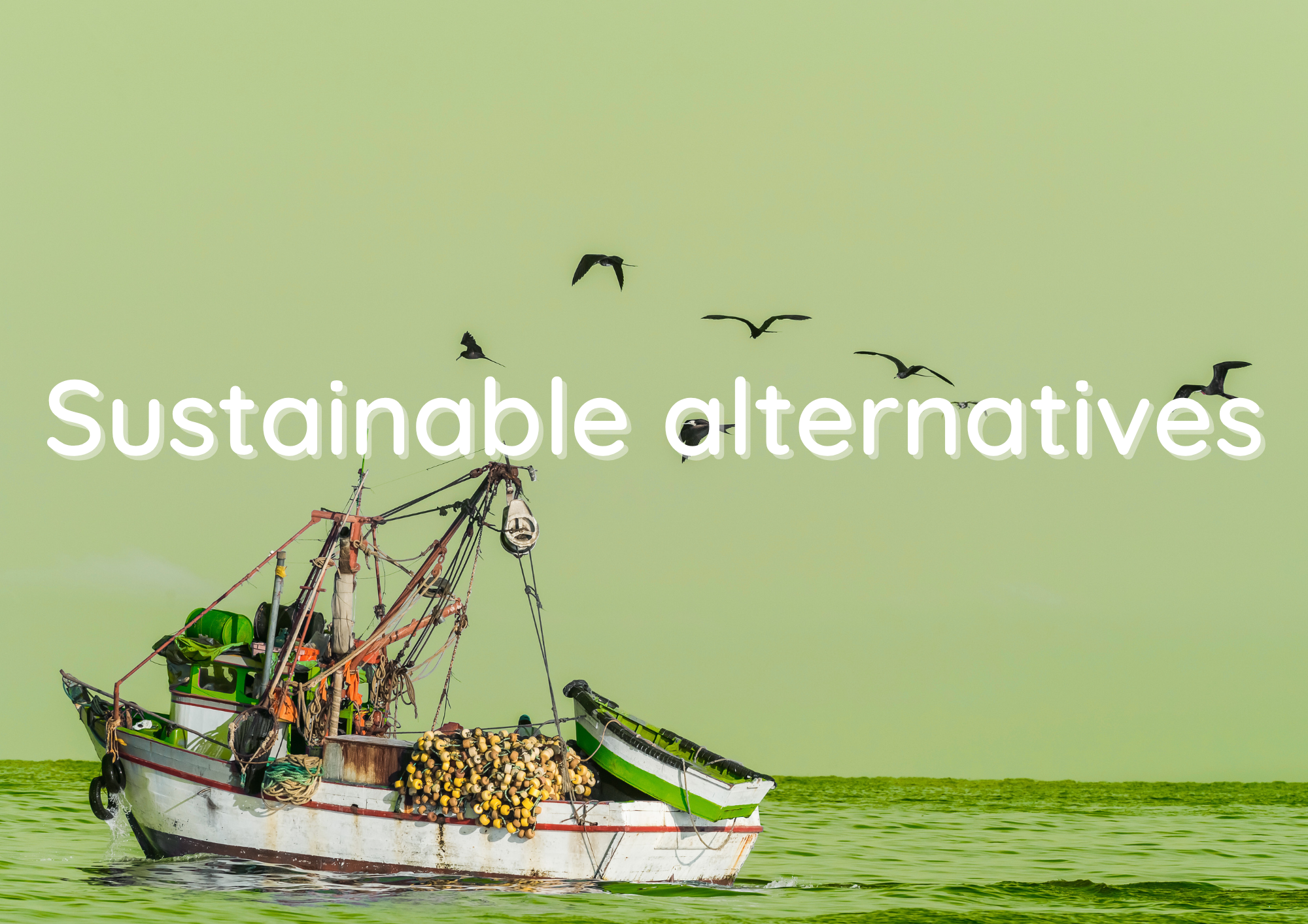 Sustainable alternatives